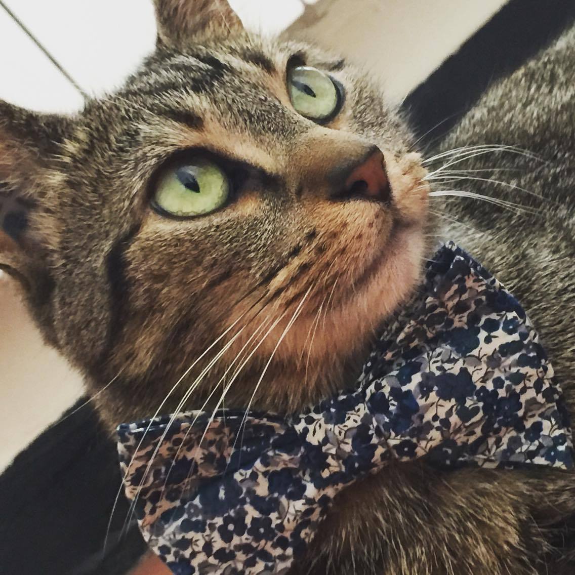 18052088 10212973635285746 344885891 o