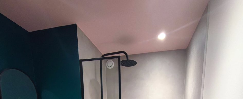 renovation architecte plafond rose