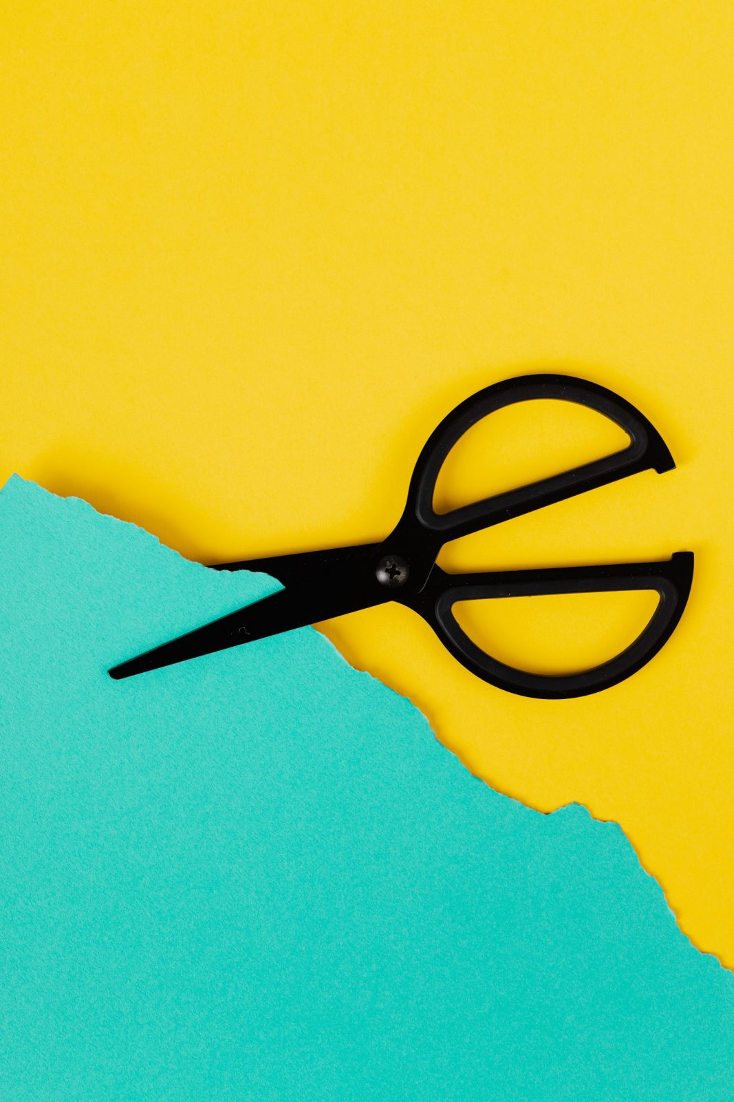 roue couleur chromatique scaled