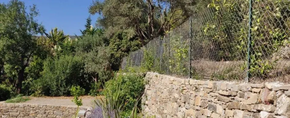 garden stone wall green fence terrace landscaping