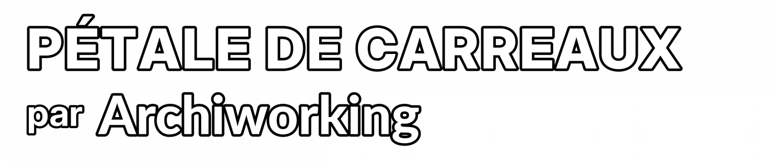 logo petale de carreaux HD fond transparent texte blanc contour noir sans metadata (1)